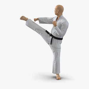 Japanese Karate Fighter Pose 2