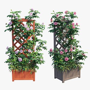 3D Rose plant set 76