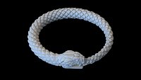 snake ouroboros
