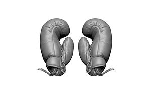 3D boxing gloves