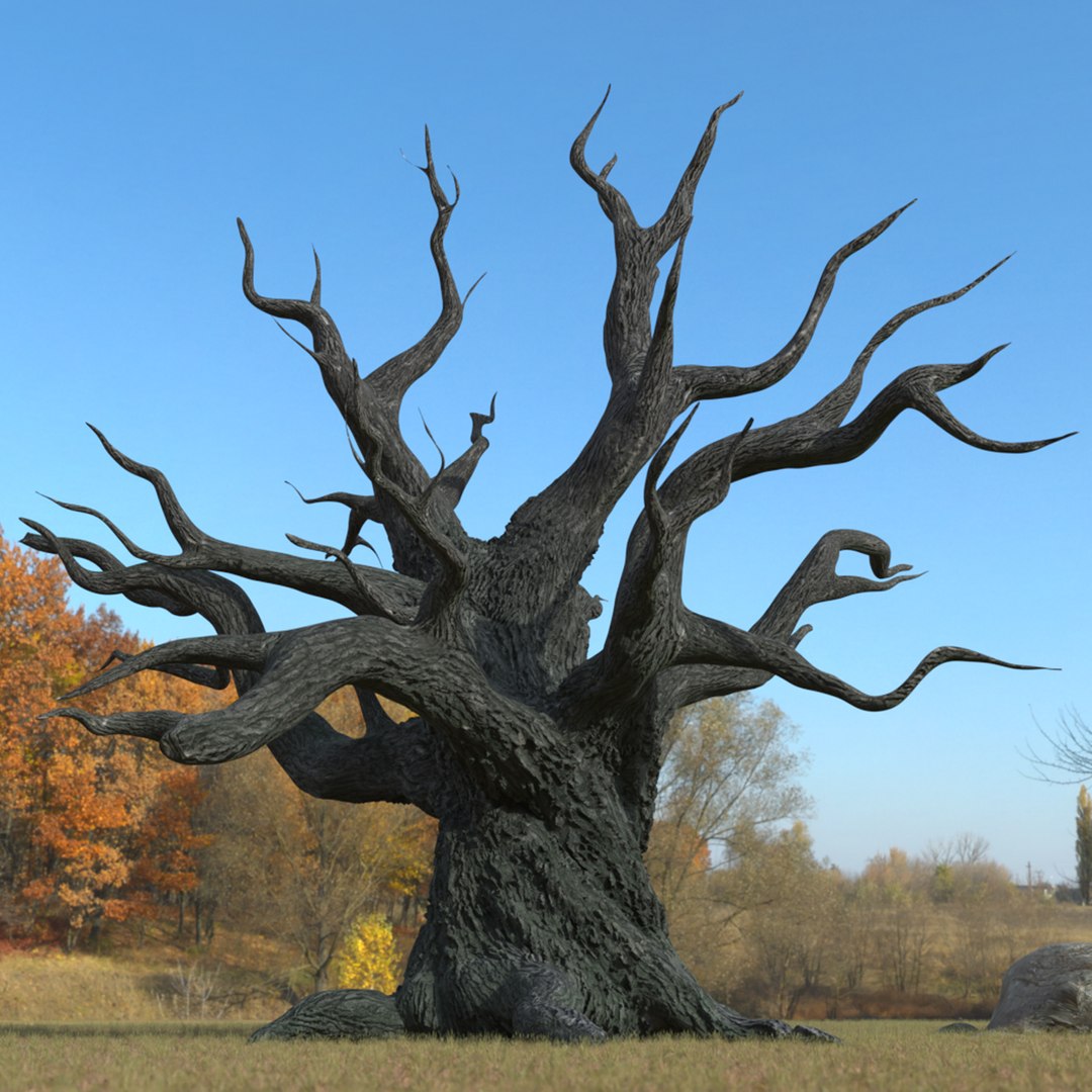 Dead Tree without Leaves 3D model preview