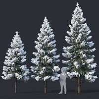 Spruce # 4 Three sizes H4,3-6,5m. Modular branches