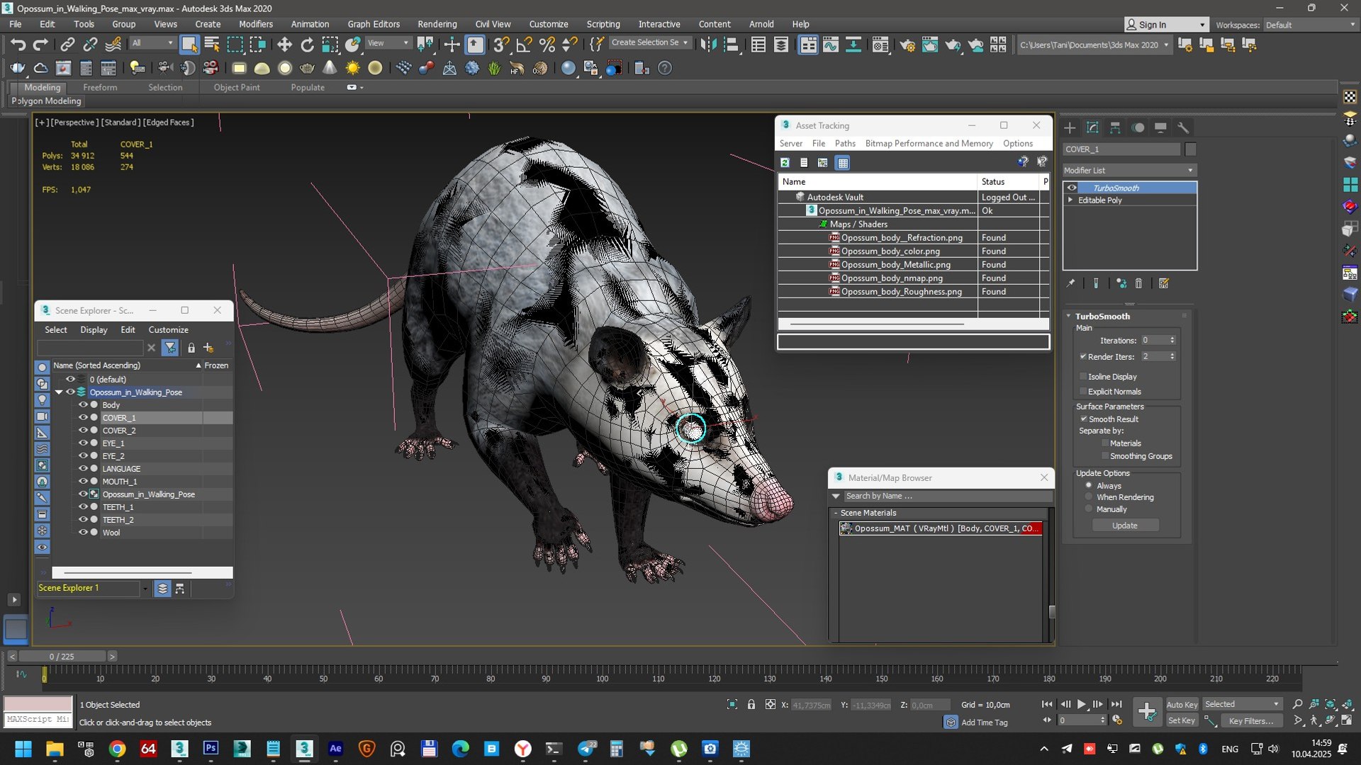 3D Opossum in Walking Pose model https://p.turbosquid.com/ts-thumb/tR/7qVLHn/WW/opossum_in_walking_pose_017/jpg/1746076118/1920x1080/fit_q87/d32b23b144ea73fada60e516d5219938566e1e5b/opossum_in_walking_pose_017.jpg