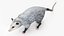 Opossum in Walking Pose