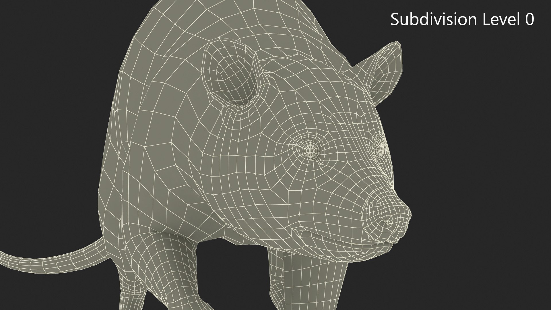 3D Opossum in Walking Pose model https://p.turbosquid.com/ts-thumb/tR/7qVLHn/ef/opossum_in_walking_pose_013/jpg/1746076105/1920x1080/fit_q87/9e40dfc79bf47aa03078a2f4d562015b9dae7b2a/opossum_in_walking_pose_013.jpg