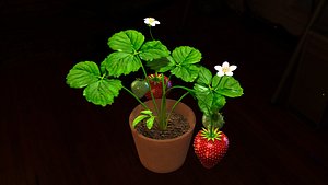 strawberry plants 3D model