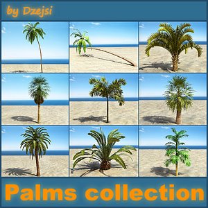 3d model of palms beach