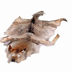 Low poly wolf pelt