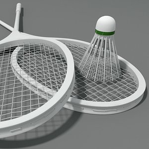 Classic badminton rackets