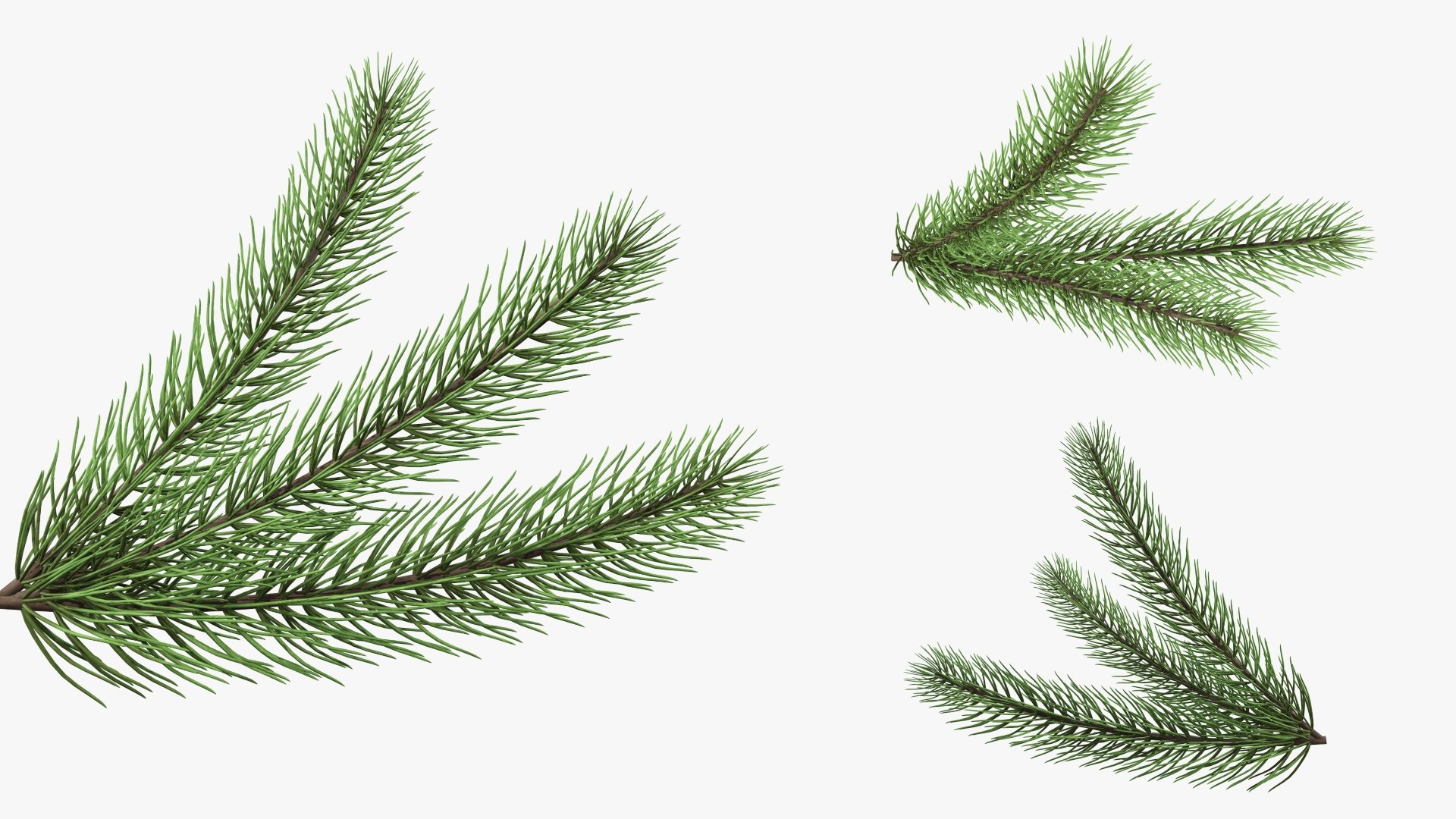3D christmas holiday tree model https://p.turbosquid.com/ts-thumb/tR/QKrbvC/oC/12/jpg/1604829379/1920x1080/fit_q87/54318dda6f34c8a65e2c4f7d4ef94d5946e81118/12.jpg
