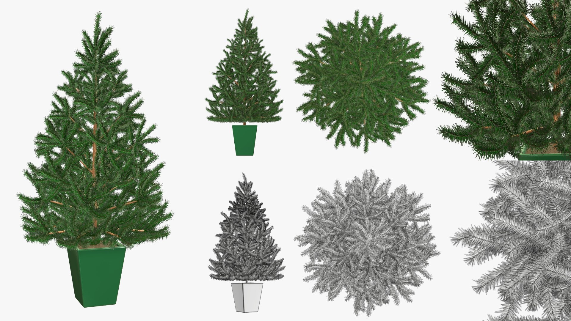 3D christmas holiday tree model https://p.turbosquid.com/ts-thumb/tR/QKrbvC/wa/06/jpg/1604829378/1920x1080/fit_q87/e602d9bf74e02c2793704ee0ce8dfb3f62b46c9e/06.jpg