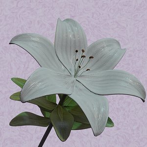 lily flower model