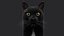 BLACK CAT RIG XGEN-CORE