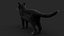 BLACK CAT RIG XGEN-CORE