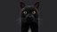 BLACK CAT RIG XGEN-CORE