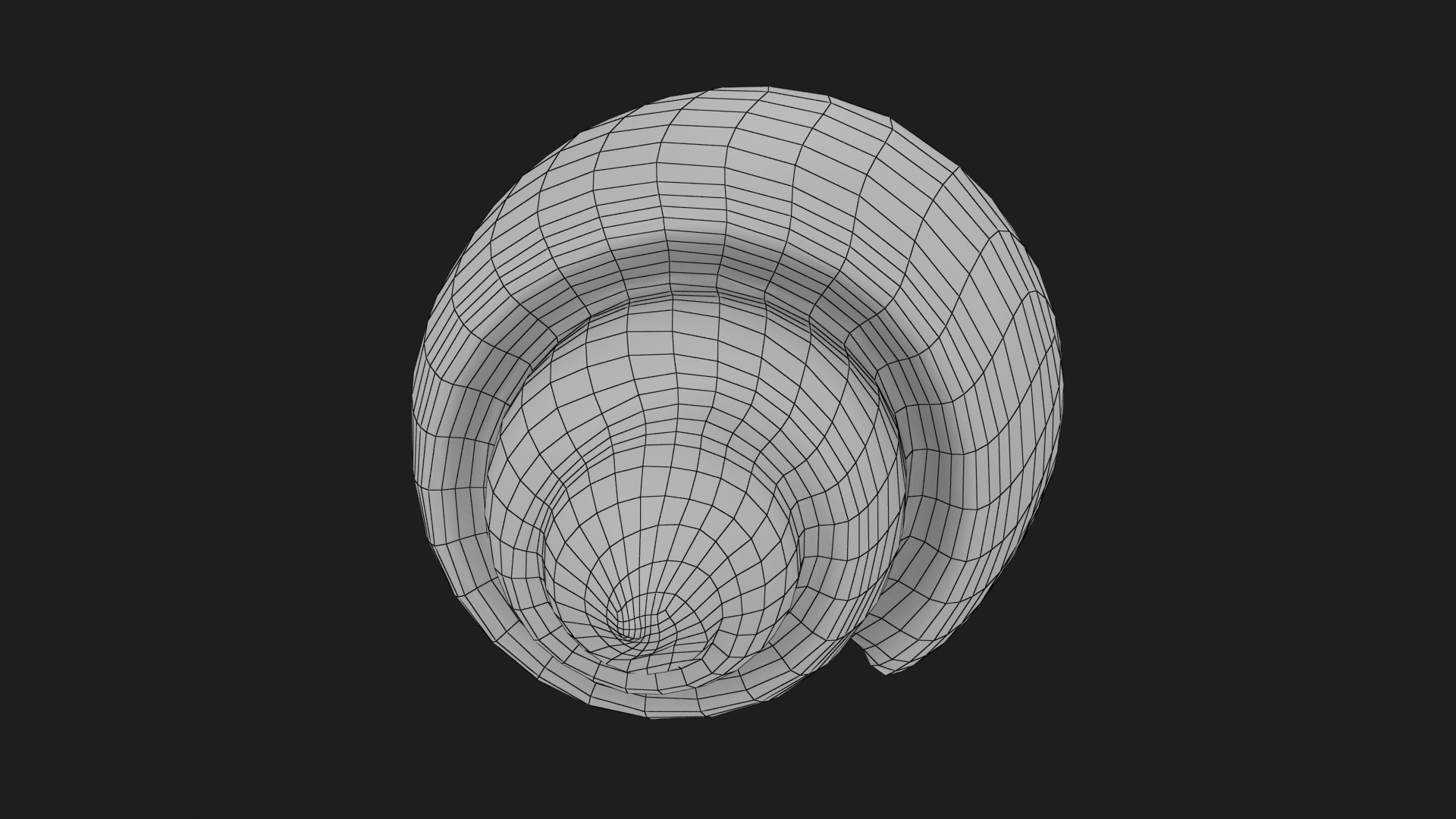 Sea Shell Seashell 3D Model - TurboSquid 1698785