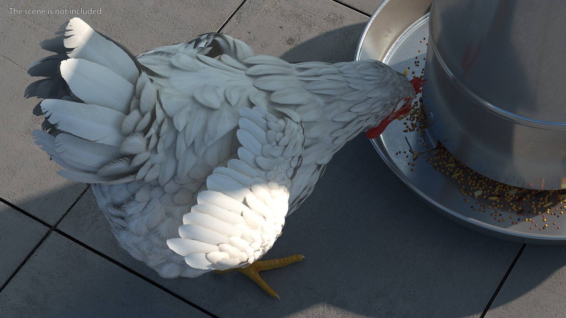 3D Chickens with Wheat Grain Collection https://p.turbosquid.com/ts-thumb/tR/x51Yqp/Cf/chickenswithwheatgraincollectionmb3dmodel022/jpg/1666249588/1920x1080/fit_q87/2c2eb8f85b63f1a43f2fa9a92e4d9519e137a389/chickenswithwheatgraincollectionmb3dmodel022.jpg