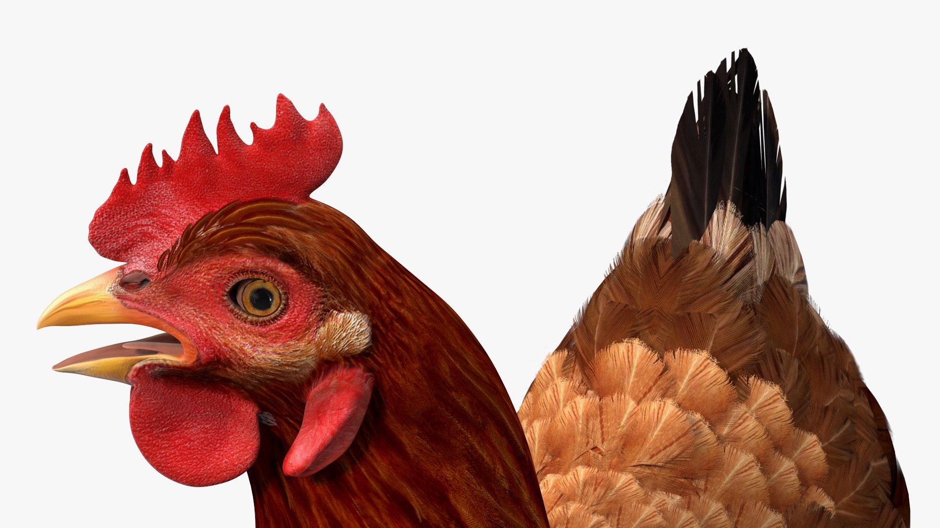 3D Chickens with Wheat Grain Collection https://p.turbosquid.com/ts-thumb/tR/x51Yqp/O0/chickenswithwheatgraincollectionmb3dmodel032/jpg/1666249628/1920x1080/fit_q87/296cb34c56d528bc3b1de619a52d3f67aac87c6c/chickenswithwheatgraincollectionmb3dmodel032.jpg