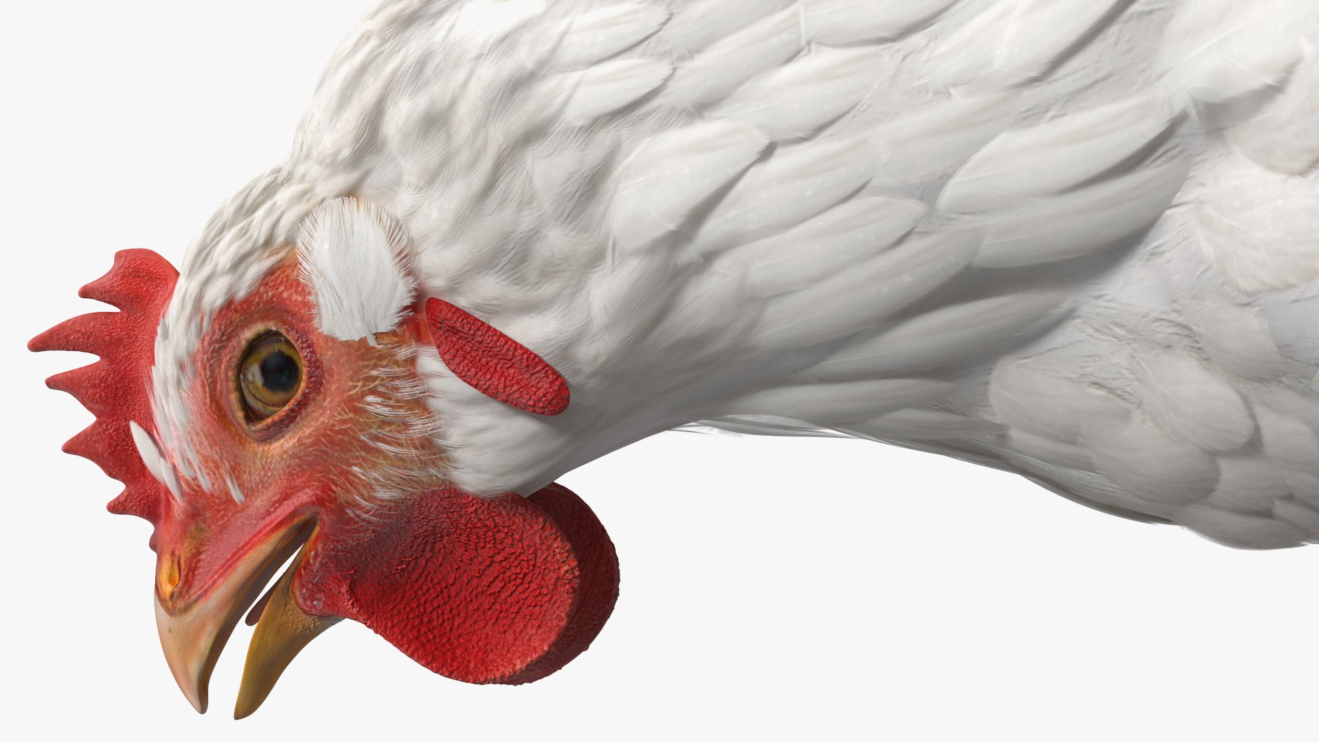 3D Chickens with Wheat Grain Collection https://p.turbosquid.com/ts-thumb/tR/x51Yqp/OV/chickenswithwheatgraincollectionmb3dmodel037/jpg/1666249645/1920x1080/fit_q87/0a11a76504a61396a47ad4811a00a934d4b78ad1/chickenswithwheatgraincollectionmb3dmodel037.jpg