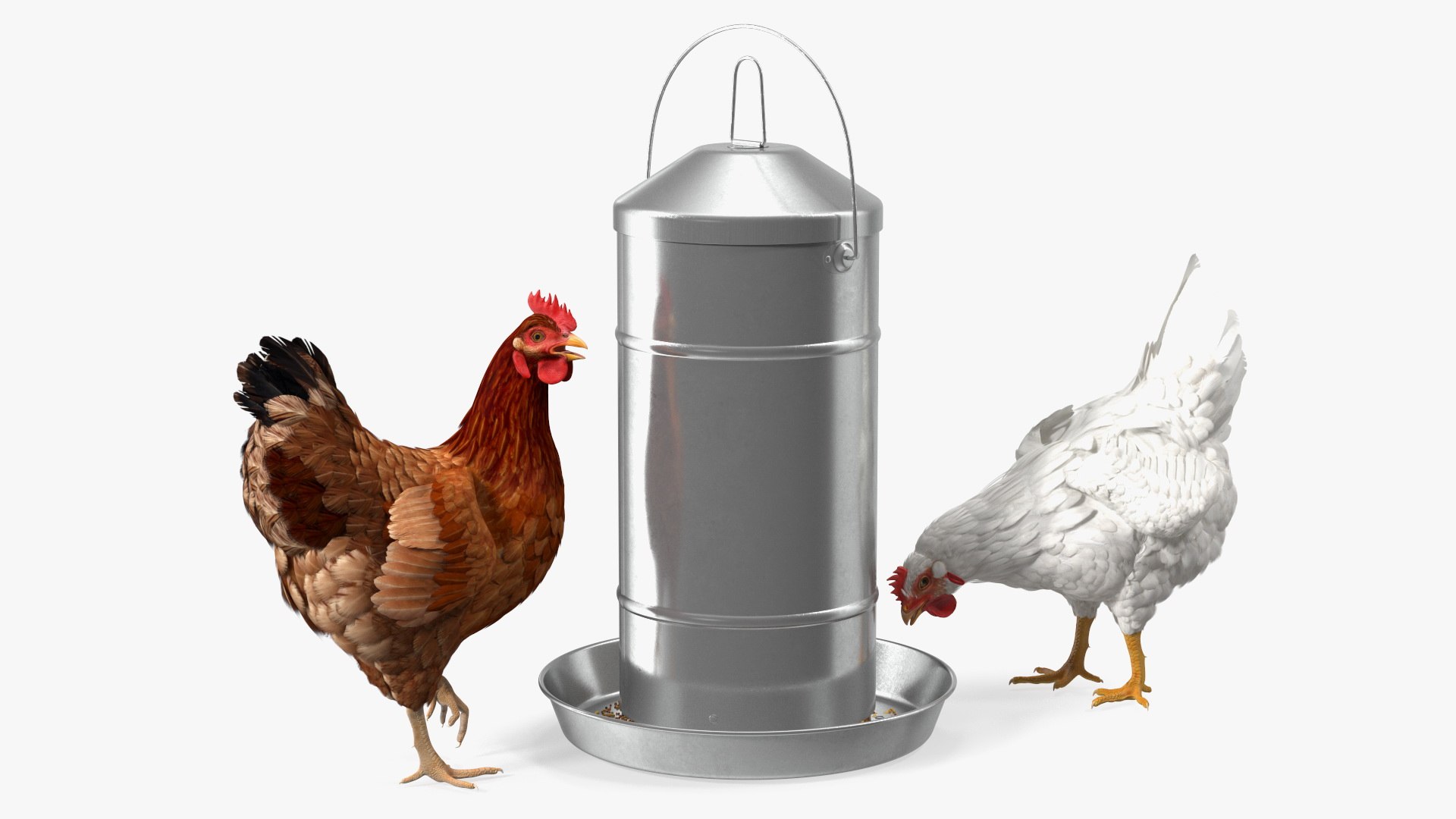 3D Chickens with Wheat Grain Collection https://p.turbosquid.com/ts-thumb/tR/x51Yqp/cx/chickenswithwheatgraincollectionmb3dmodel017/jpg/1666249569/1920x1080/fit_q87/7025d1d887750c974405240573e04f3592497ca2/chickenswithwheatgraincollectionmb3dmodel017.jpg