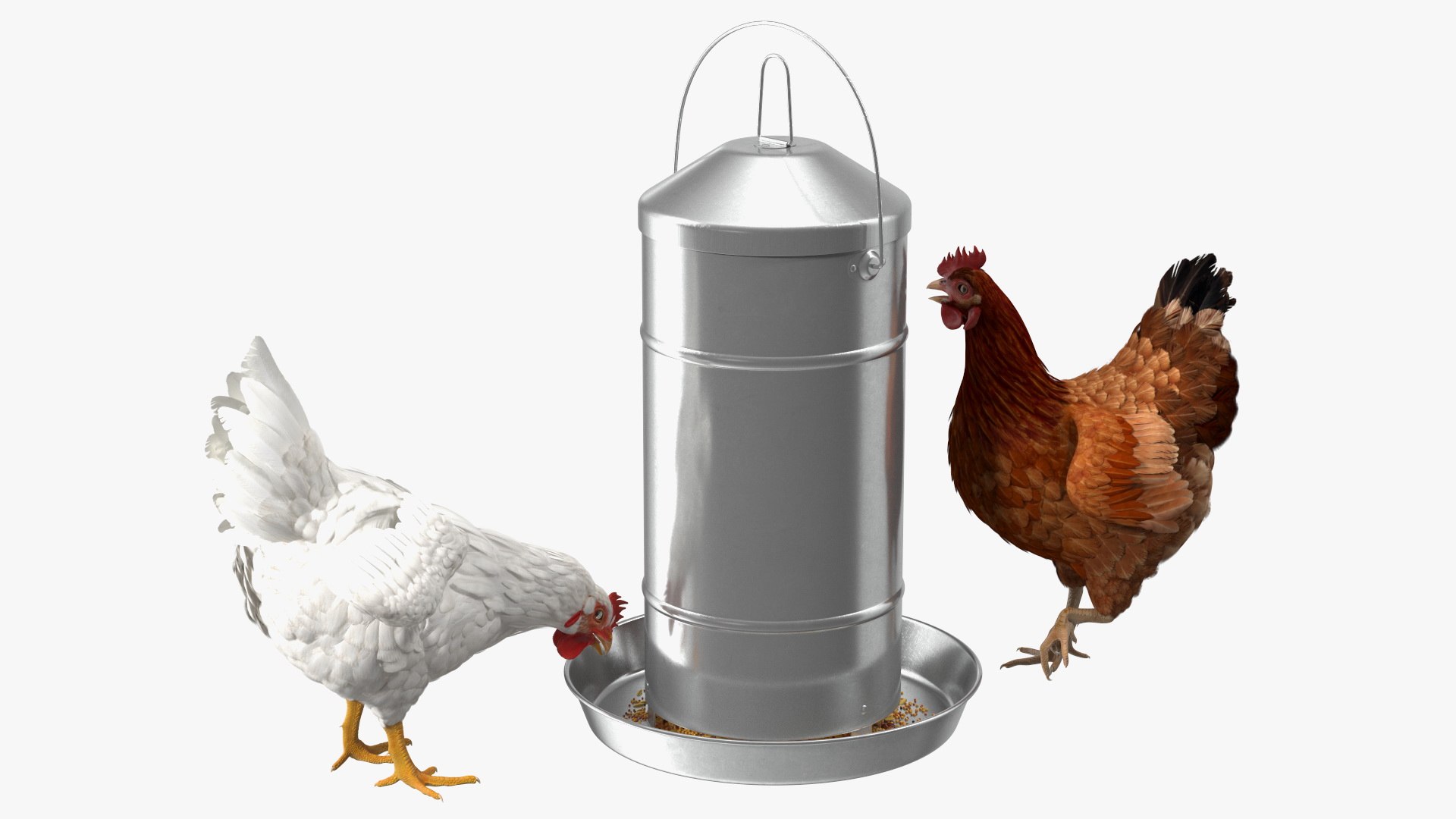 3D Chickens with Wheat Grain Collection https://p.turbosquid.com/ts-thumb/tR/x51Yqp/ob/chickenswithwheatgraincollectionmb3dmodel025/jpg/1666249600/1920x1080/fit_q87/ab015722f1075a0ffd71c57e877ecfee6734b921/chickenswithwheatgraincollectionmb3dmodel025.jpg