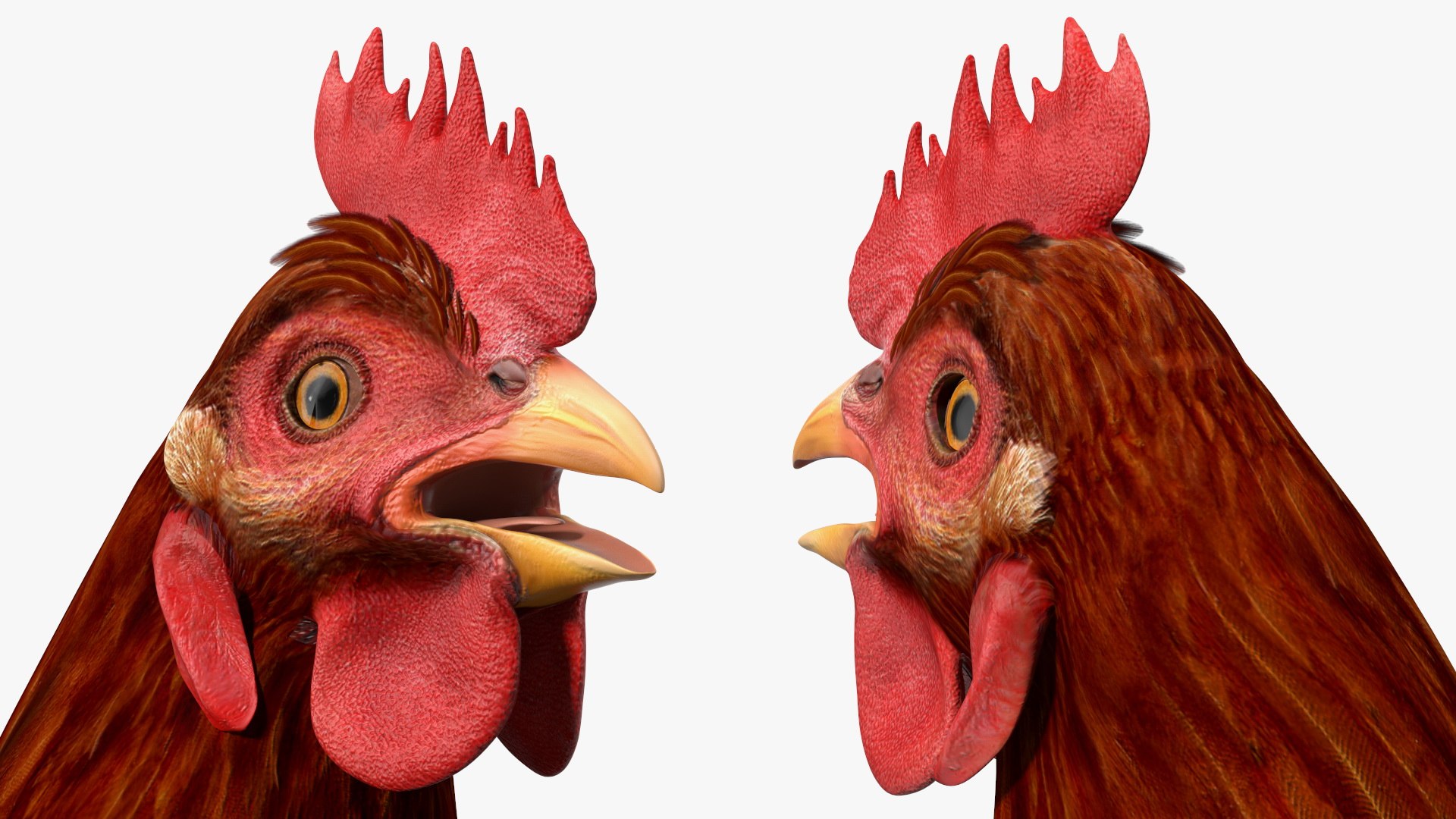 3D Chickens with Wheat Grain Collection https://p.turbosquid.com/ts-thumb/tR/x51Yqp/os/chickenswithwheatgraincollectionmb3dmodel031/jpg/1666249624/1920x1080/fit_q87/87462f432d884e36cff701459f6457c94b943053/chickenswithwheatgraincollectionmb3dmodel031.jpg