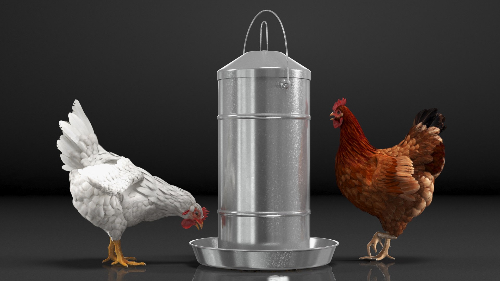 3D Chickens with Wheat Grain Collection https://p.turbosquid.com/ts-thumb/tR/x51Yqp/r8/chickenswithwheatgraincollectionmb3dmodel023/jpg/1666249592/1920x1080/fit_q87/71e4c2df3d869c2b70771c8678b602fdc162ccb8/chickenswithwheatgraincollectionmb3dmodel023.jpg
