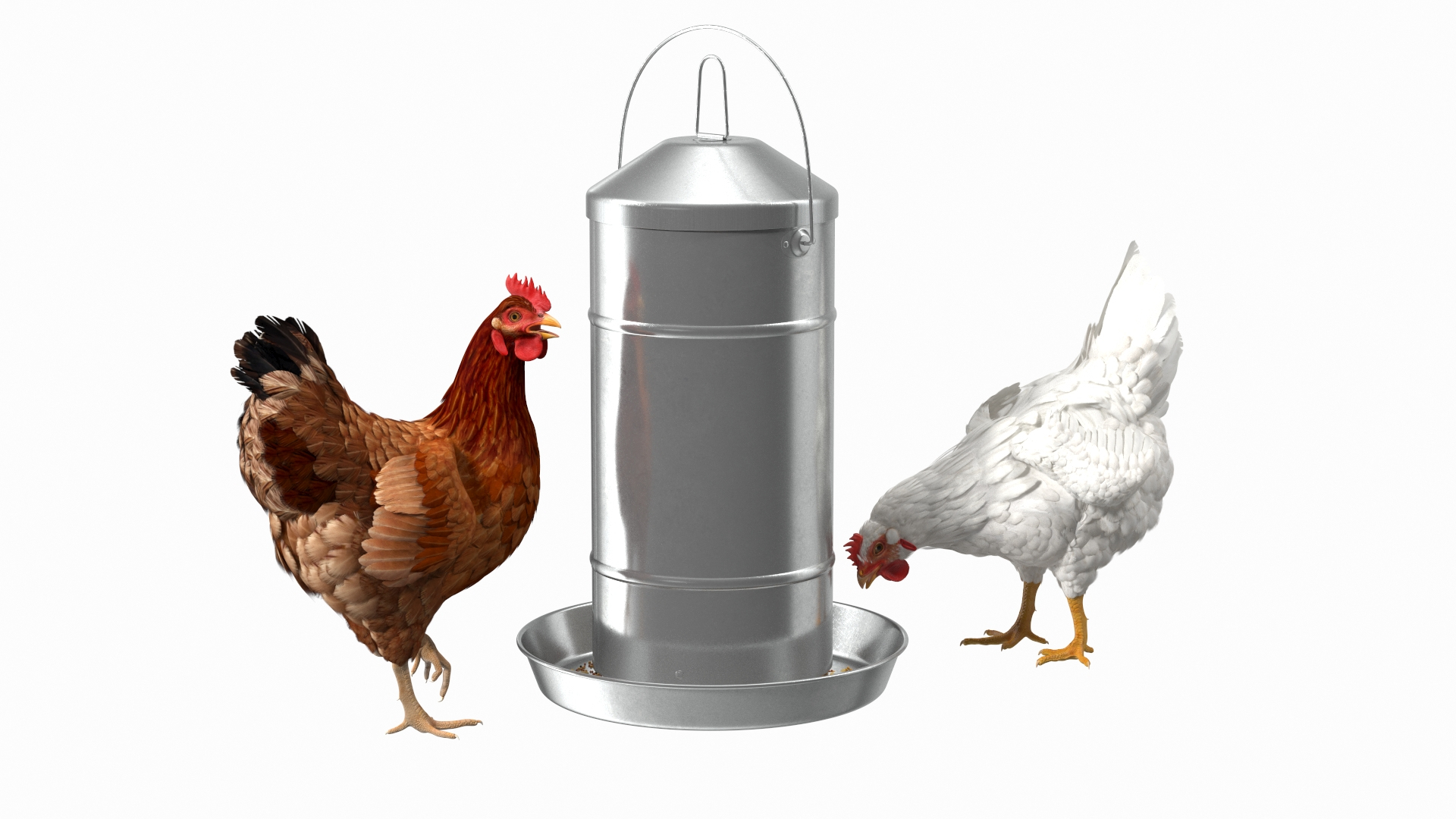 3D Chickens with Wheat Grain Collection https://p.turbosquid.com/ts-thumb/tR/x51Yqp/rZ/poultry_feeder_with_chickens_360/jpg/1666249889/1920x1080/turn_fit_q99/20104ae41bca54be3c31cec405ad94ff54f78daf/poultry_feeder_with_chickens_360-1.jpg