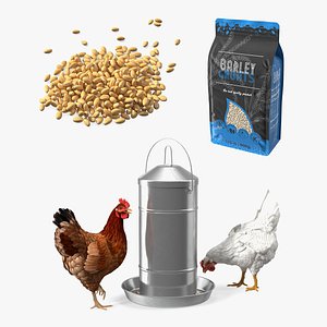 3D Chickens with Wheat Grain Collection