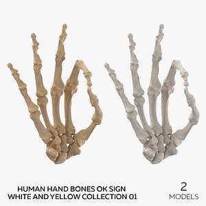 3D Human Hand Bones Ok Sign White and Yellow Collection 01 - 2 models