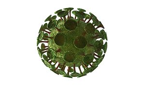 Coronavirus