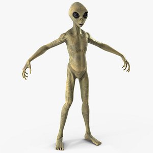 Humanoid Alien Creature Fur Rigged 3D model