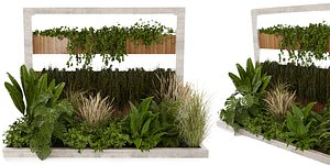 Collection plant vol 484 - garden - palm - grass - leaf - blender model 3D