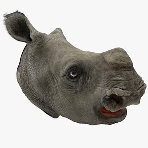 Baby Rhino Head Fur