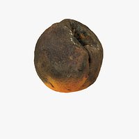Rotten Decayed Apricot 02