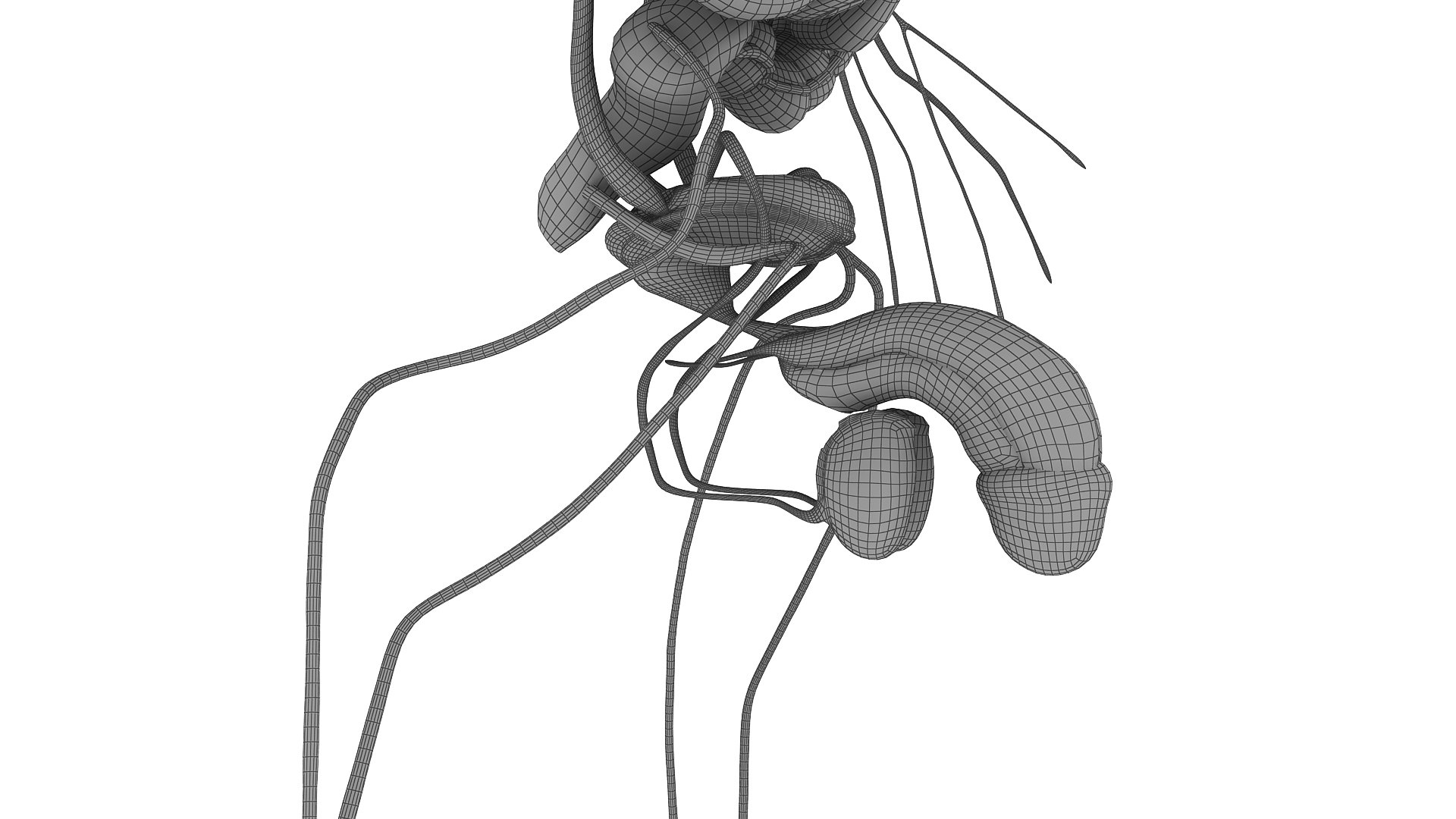 body anatomy 3D model https://p.turbosquid.com/ts-thumb/tS/kg4Skn/es6qn8bY/w19/jpg/1574299512/1920x1080/fit_q87/7f74621a1ceb33390391e86881a06804e1542303/w19.jpg