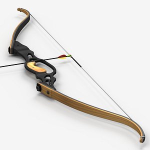 Sport Recurve Bow