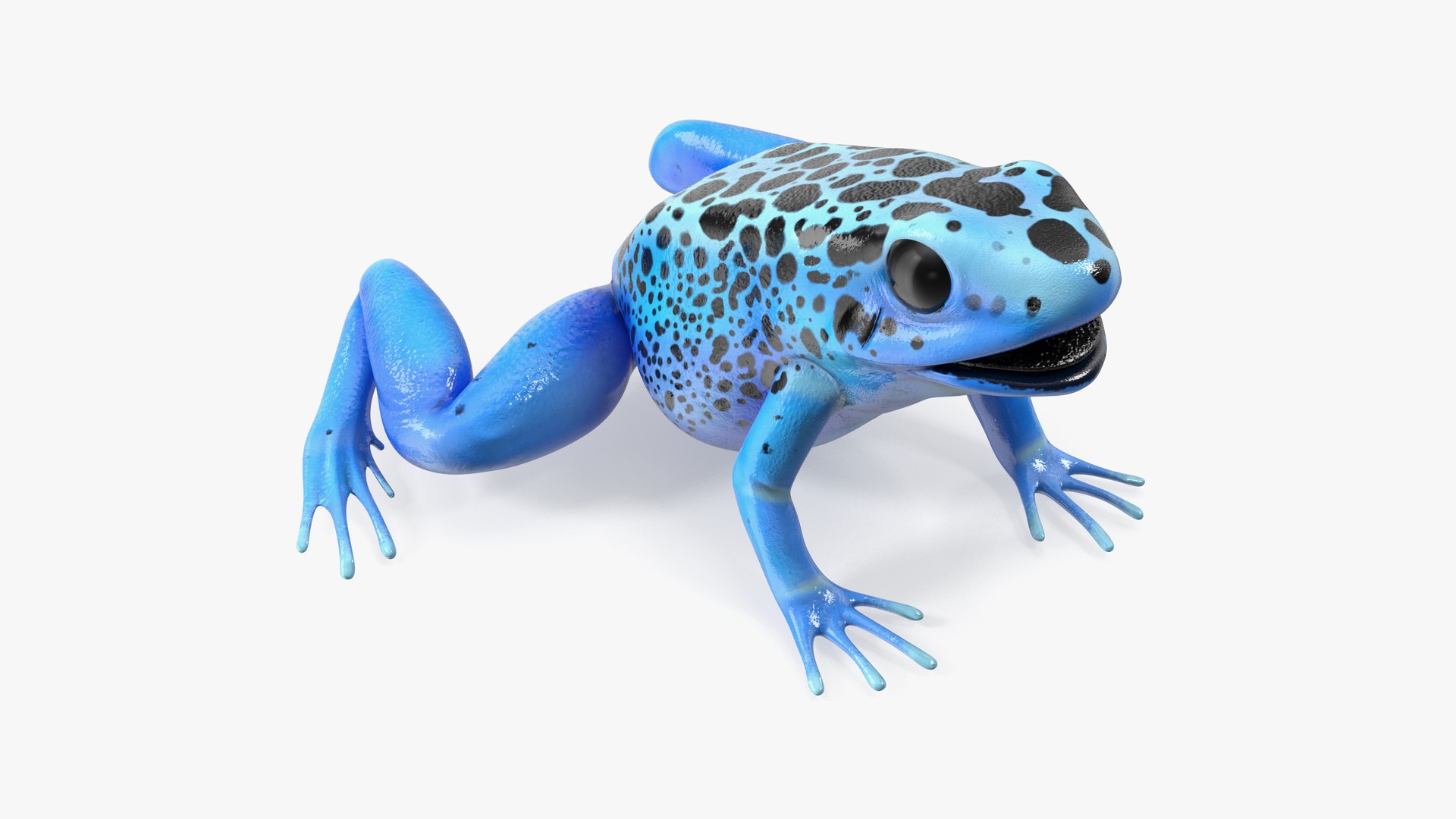 Blue Poison Arrow Frog Rigged for Cinema 4D 3D model for industrial visualization, technical presentation, simulation, product rendering, and animation