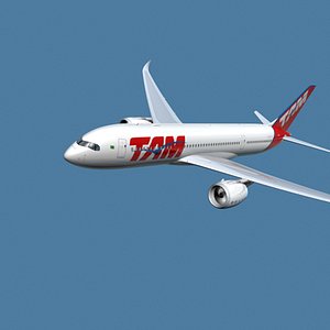 A350-800 TAM