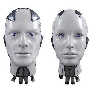 3D Female and Male Robot Heads