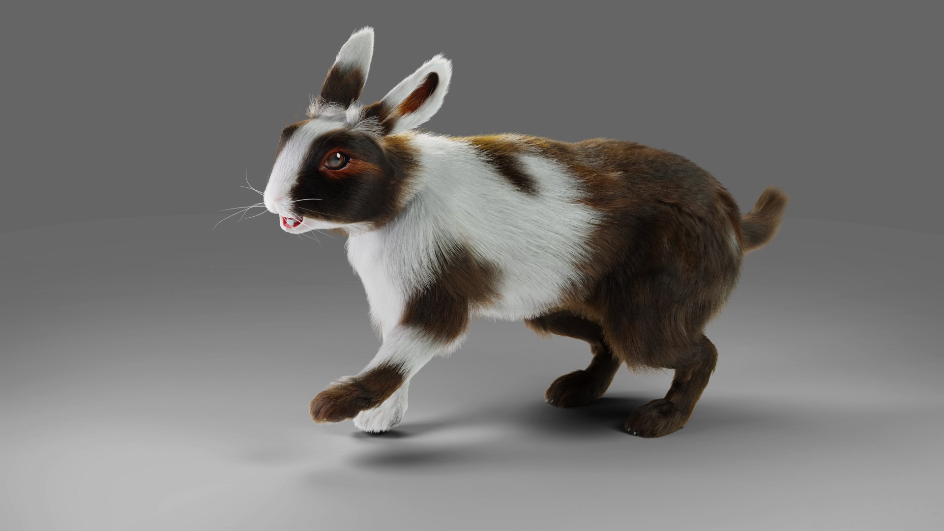 3D 3D Fur Rabbit Gray V04 Rigged And Animation Model - TurboSquid 1931607