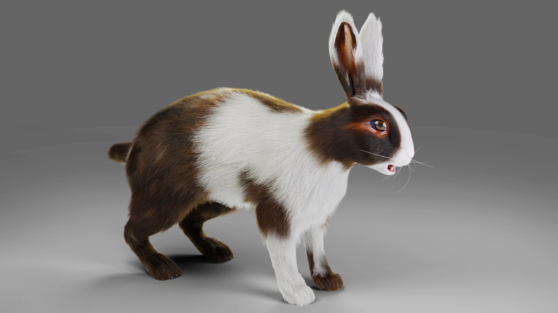 3D 3D Fur Rabbit Gray V04 Rigged And Animation Model - TurboSquid 1931607