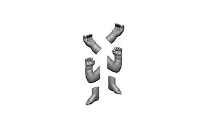 legs arms man doll 3D