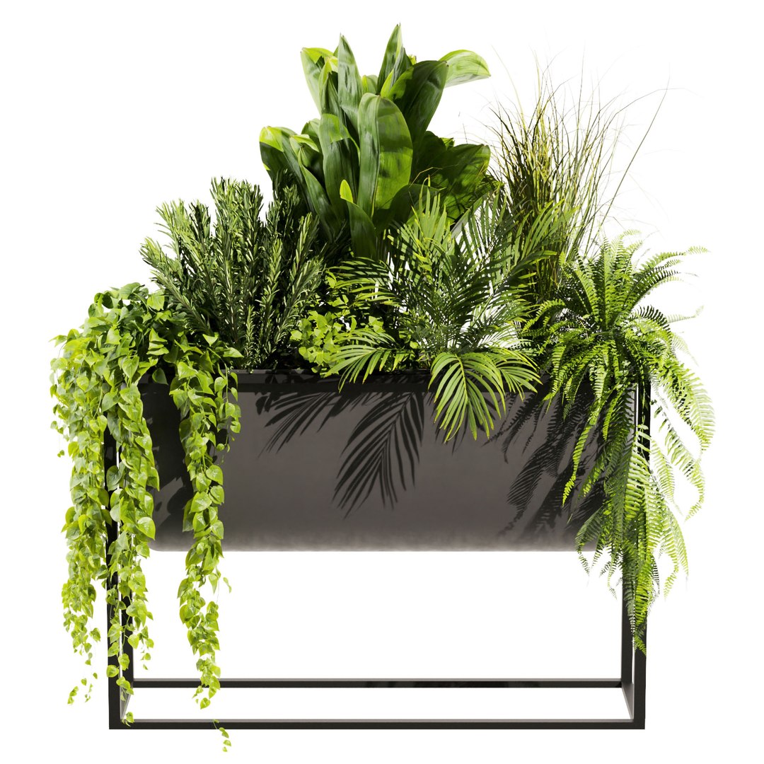 3D model Collection plant vol 448 - grass - boxplant - palm - 3dsmax - cinema 4d https://p.turbosquid.com/ts-thumb/tT/FfKoxd/Ei/untitled1_0001_2.jpg/jpg/1675425456/1920x1080/fit_q87/a225dd440520b3f8e58446fe2bbb13c41af24cec/untitled1_0001_2.jpg.jpg