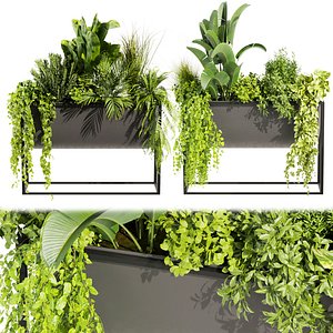 3D model Collection plant vol 448 - grass - boxplant - palm - 3dsmax - cinema 4d