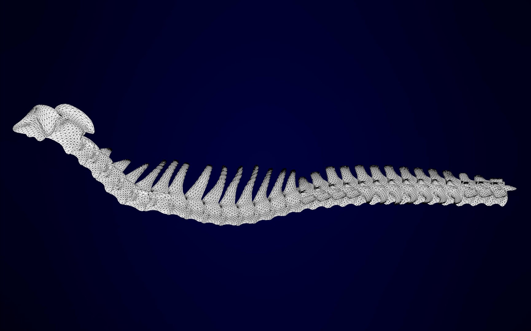 griffin skeleton 3D model https://p.turbosquid.com/ts-thumb/tT/KzUZSM/2eCE8Ht9/griffin_skeleton_12/jpg/1589053078/1920x1080/fit_q87/9666e426171ebcb8531b11816beb67806604d010/griffin_skeleton_12.jpg