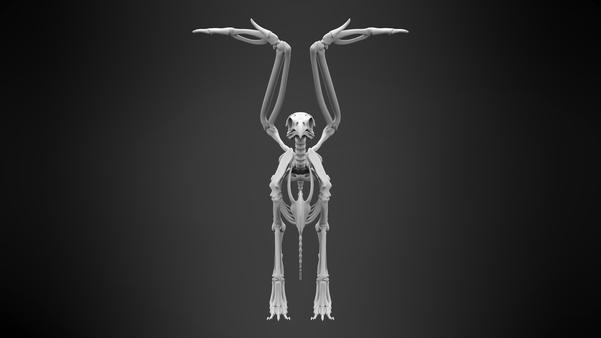 griffin skeleton 3D model https://p.turbosquid.com/ts-thumb/tT/KzUZSM/SPjfIvMw/griffin_skeleton_7/jpg/1584621674/1920x1080/fit_q87/6976e0a445f3c58662ab45e231477651334394d1/griffin_skeleton_7.jpg