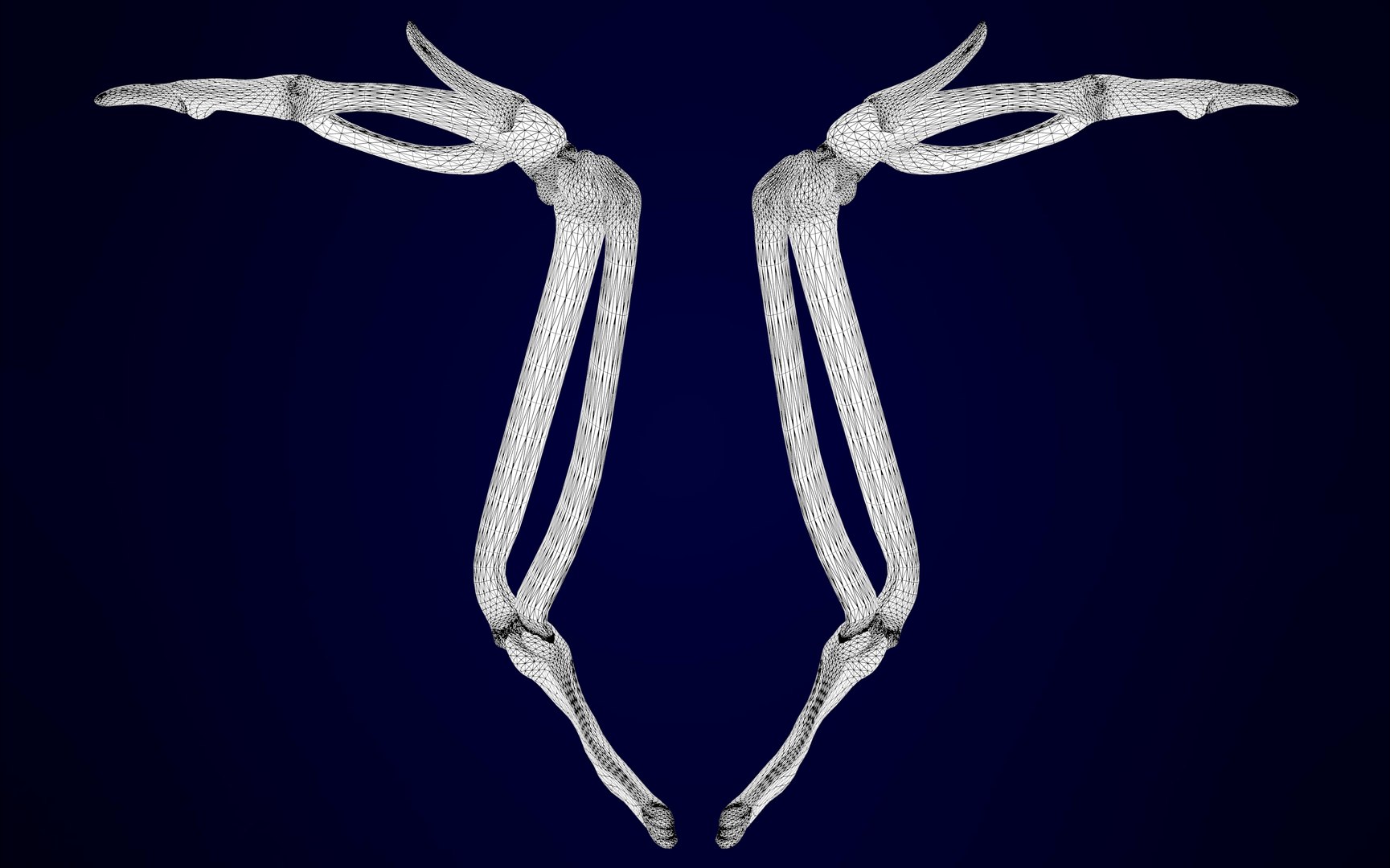 griffin skeleton 3D model https://p.turbosquid.com/ts-thumb/tT/KzUZSM/ZiuDeymy/griffin_skeleton_17/jpg/1589053078/1920x1080/fit_q87/4416aedcc6a76f5ae0cd068172363f6757f50b69/griffin_skeleton_17.jpg