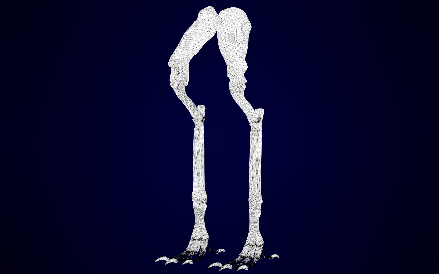 griffin skeleton 3D model https://p.turbosquid.com/ts-thumb/tT/KzUZSM/b8IemWFj/griffin_skeleton_18/jpg/1589053078/1920x1080/fit_q87/7351482ab1fe0f6cf3ff587a27ecb267560d6376/griffin_skeleton_18.jpg