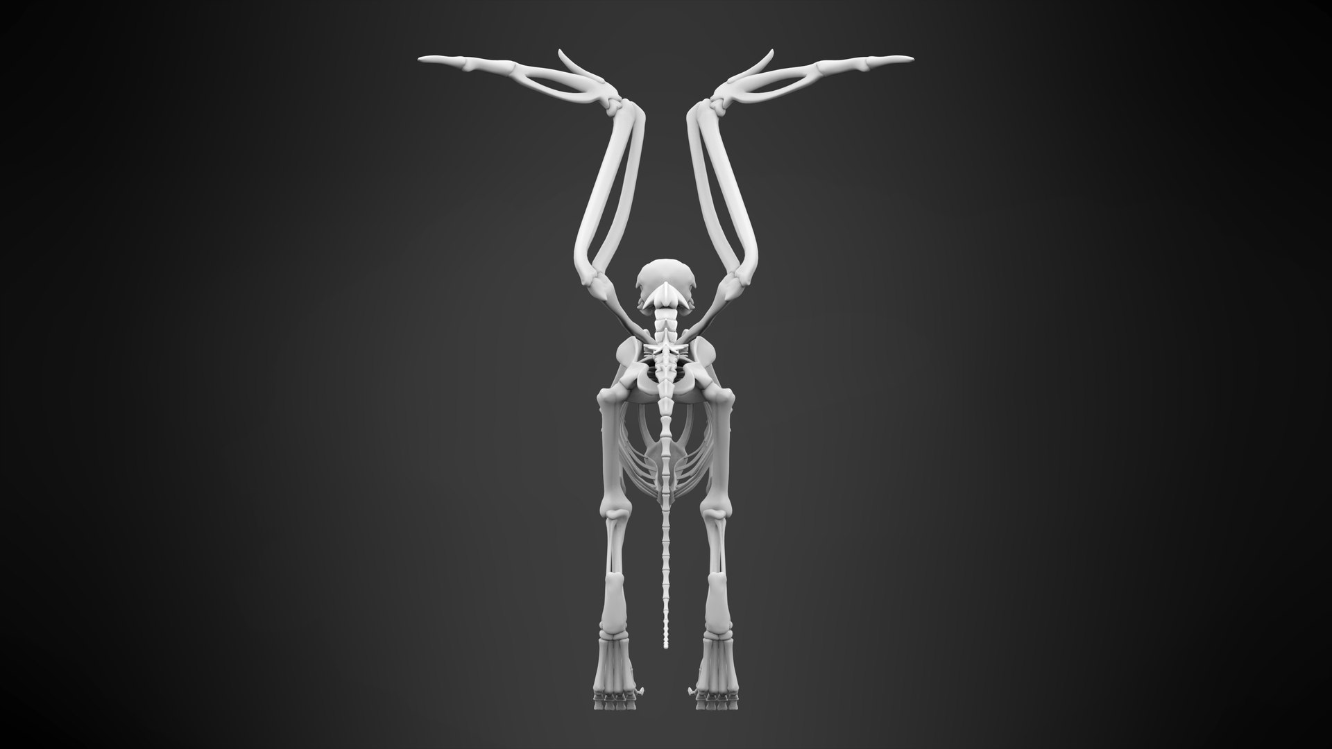 griffin skeleton 3D model https://p.turbosquid.com/ts-thumb/tT/KzUZSM/yQwMcZCc/griffin_skeleton_9/jpg/1584621695/1920x1080/fit_q87/3d8c66a525b366d0e80a9182056b477b4a182e78/griffin_skeleton_9.jpg
